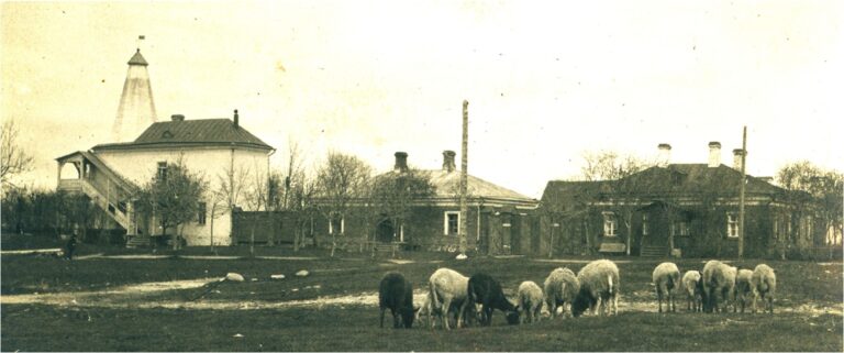 Tallinna alumine tuletorn u 1930. Jaan Vali kogu.